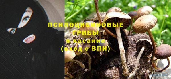 соль курить ск Алзамай