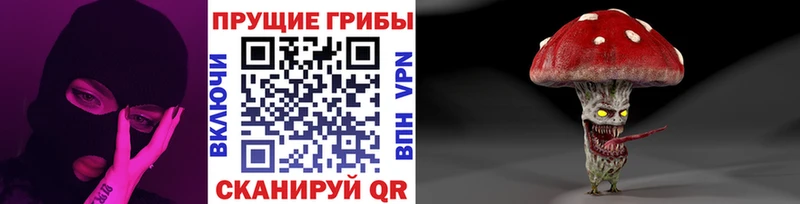 ссылка на мегу ТОР  Уссурийск  Галлюциногенные грибы GOLDEN TEACHER  дарнет шоп 